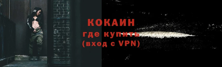 что такое   Кимры  гидра tor  Cocaine Fish Scale 