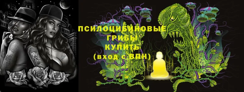 Псилоцибиновые грибы MAGIC MUSHROOMS  Кимры 